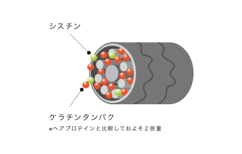 効能の図解