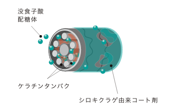 効能の図解