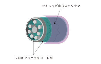 効能の図解